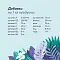 FLORIDA консервы для собак "Курица с яблоком" #7